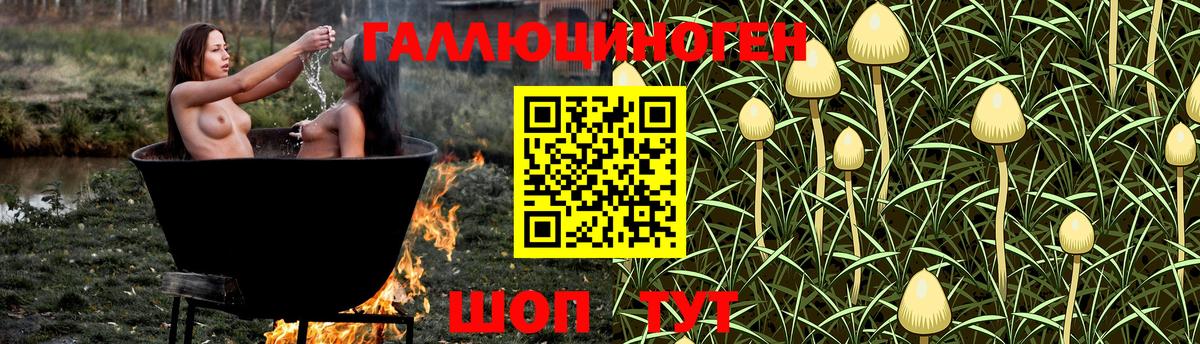 Галлюциногенные грибы GOLDEN TEACHER  закладка  Тельмана  Галлюциногенные грибы Psilocybine cubensis  Вход с VPN 
